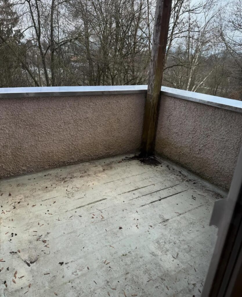 WhatsApp Image 2026-01-27 at 12.46.24 PM (16)